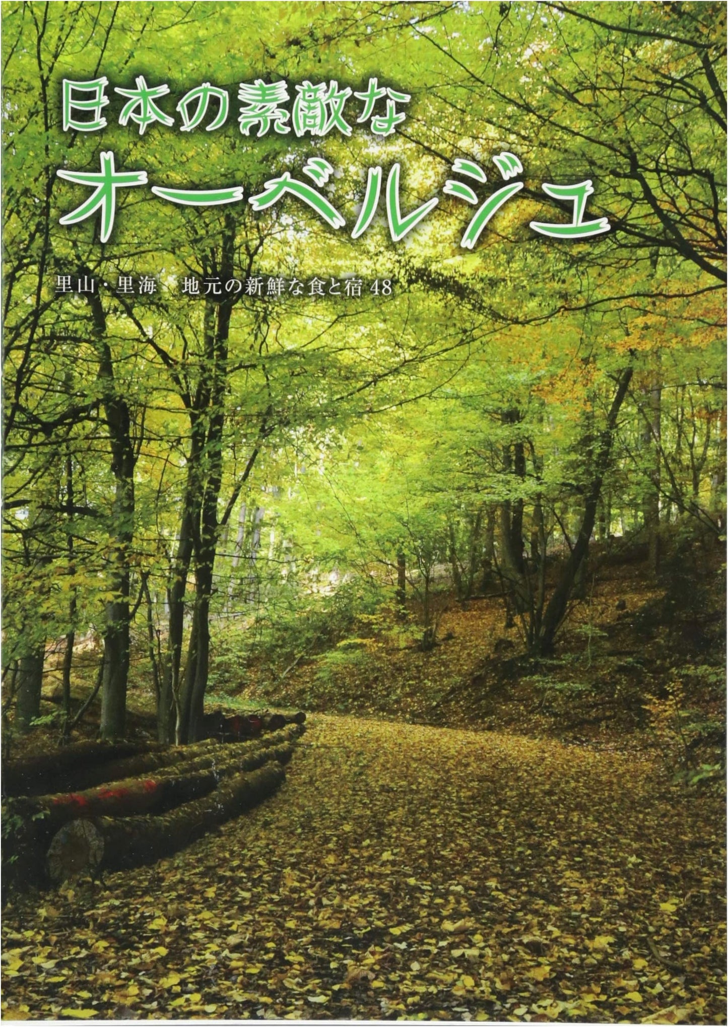 Charming Japanese Auberges: A Travel Guide