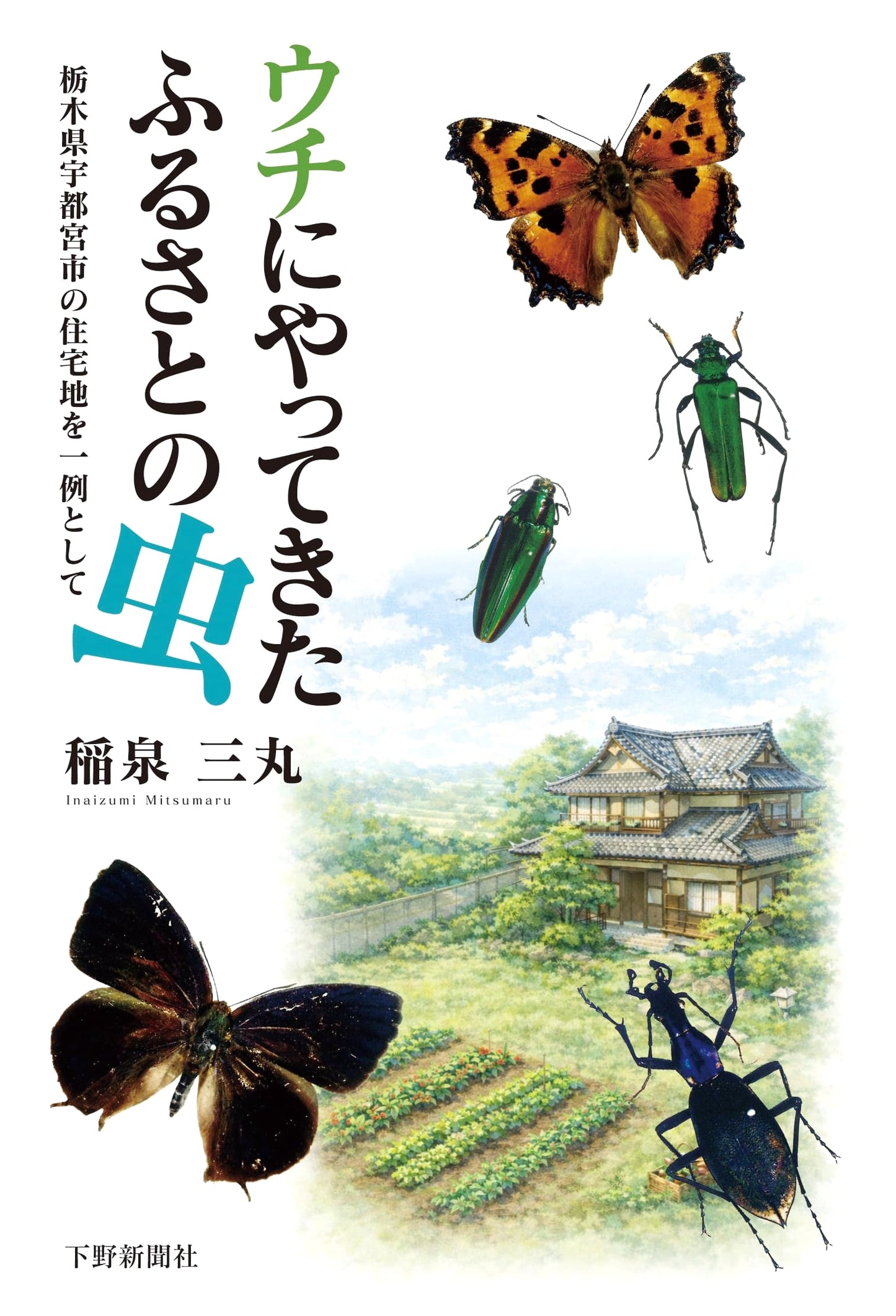 Insects of Our Hometown: A Case Study from Utsunomiya, Tochigi Residential Areas