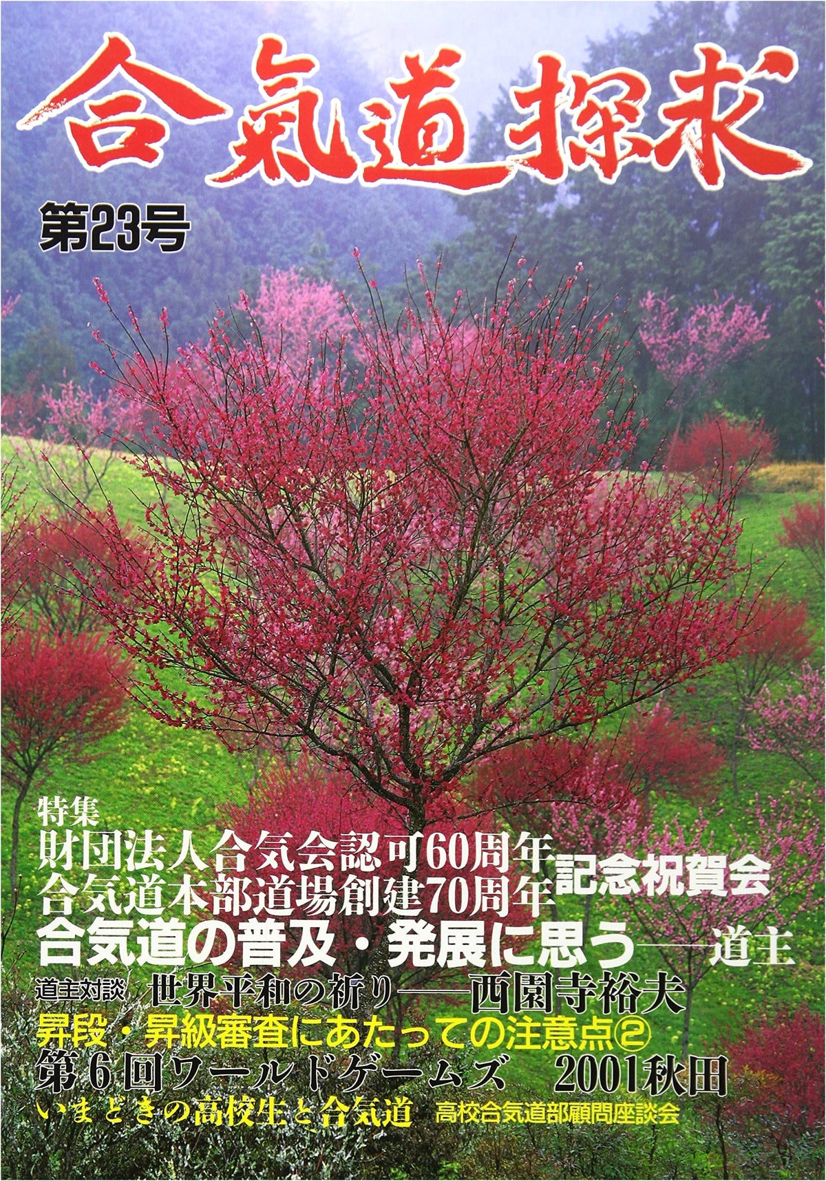 Aikido Tanqyu (Issue 23): Exploring the Martial Art of Aikido