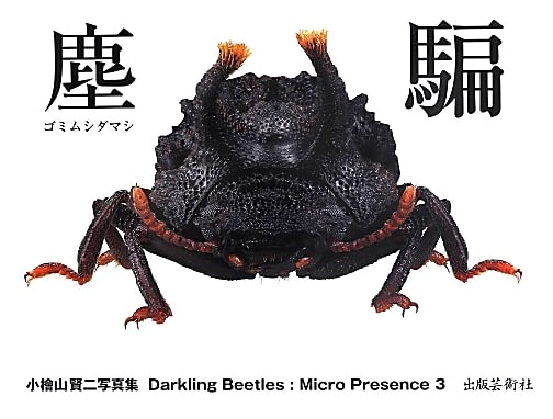 Tenebrionidae Deception: Micro-presence 3
