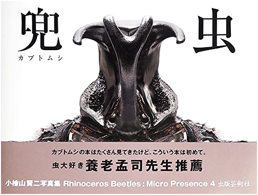 Stag Beetle (Micro Presence 4)