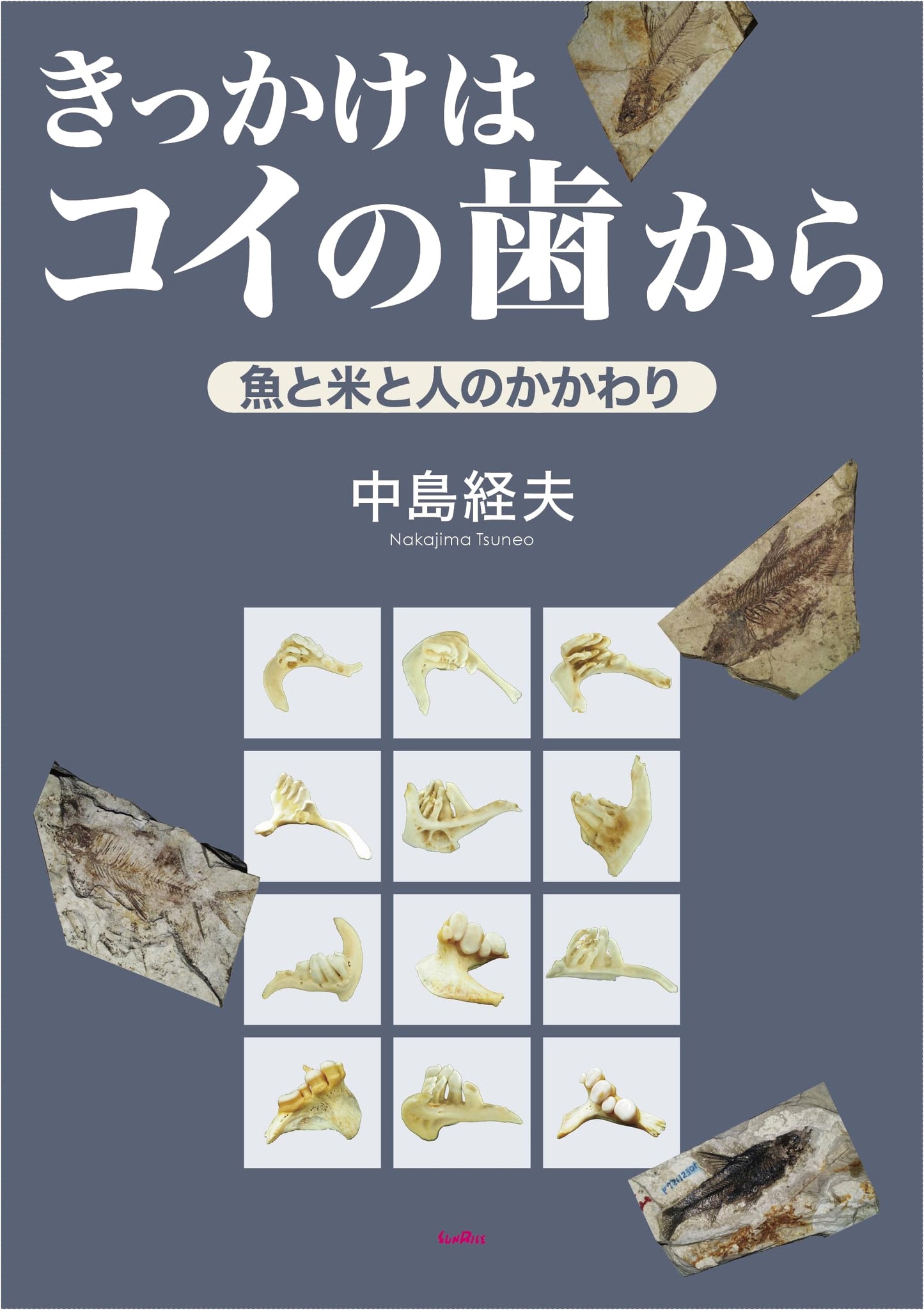 The Origin from Carp Teeth: The Relationship Between Fish, Rice, and Humans