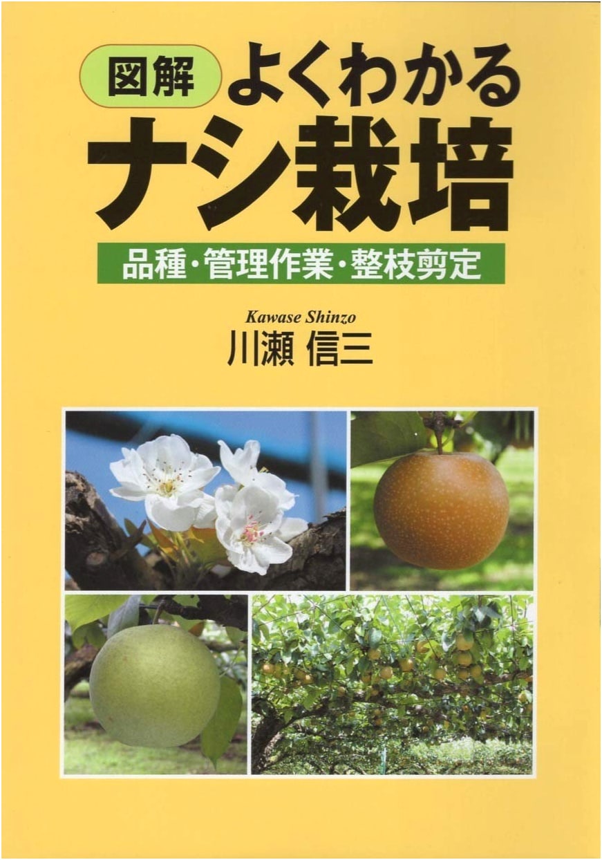 Illustrated Guide to Pear Cultivation: Varieties, Management, and Pruning Techniques