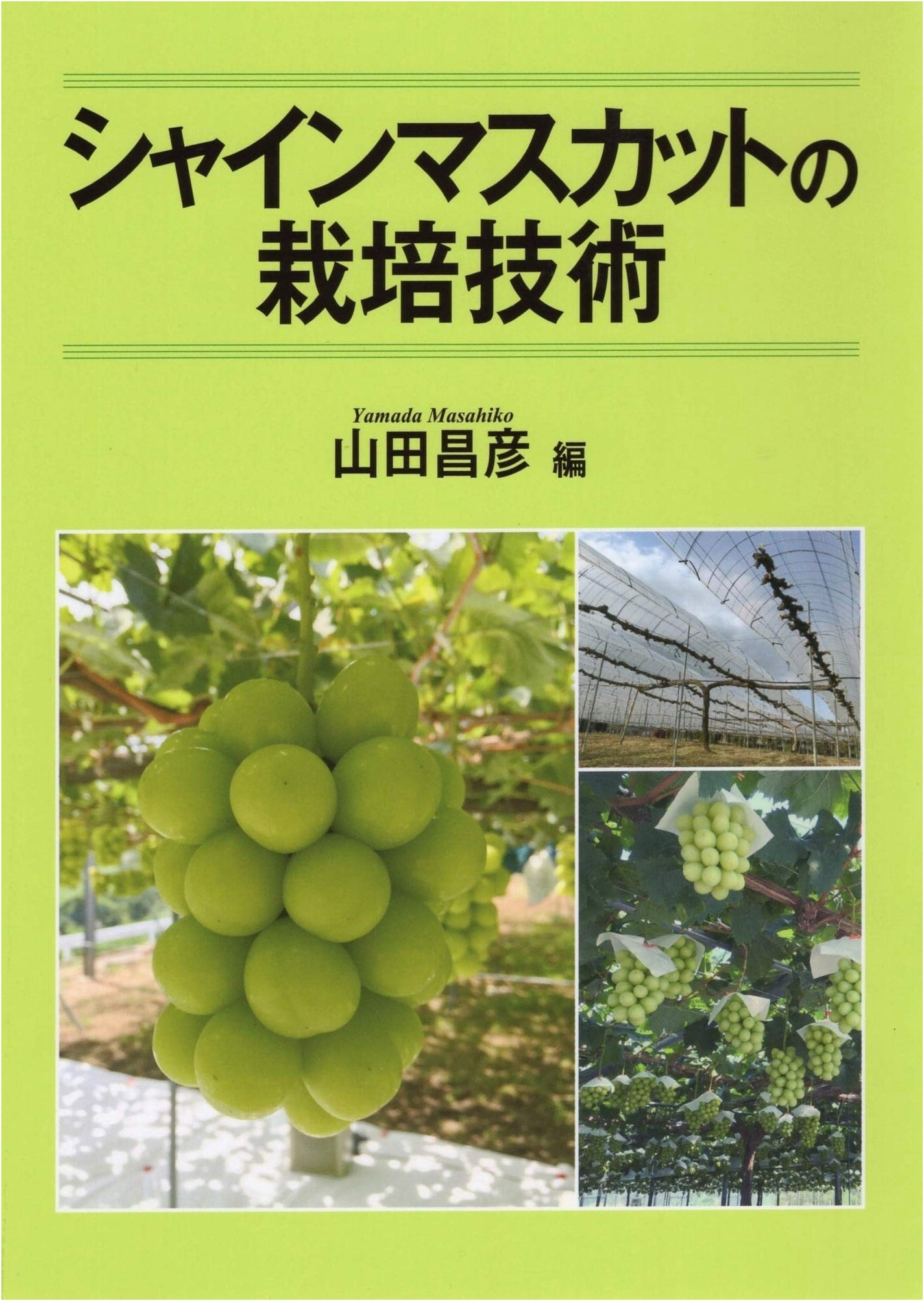 Shine Muscat Grape Cultivation Techniques