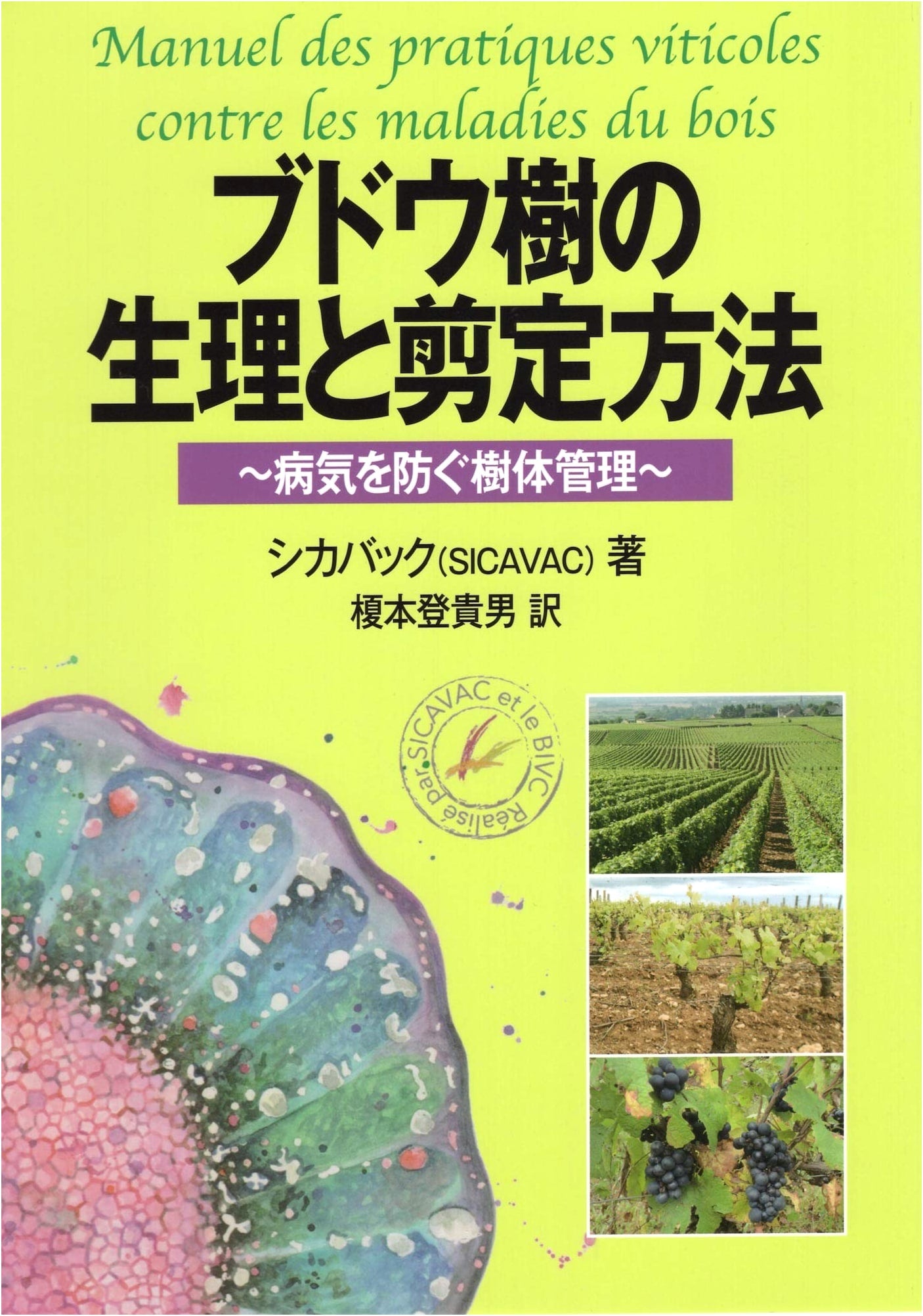 Physiology and Pruning Methods of Grapevines: Disease Prevention and Tree Management