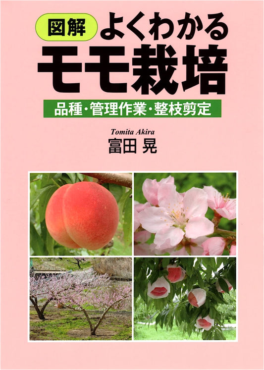 Illustrated Guide to Easy Peach Cultivation: Varieties, Management, Pruning & Training