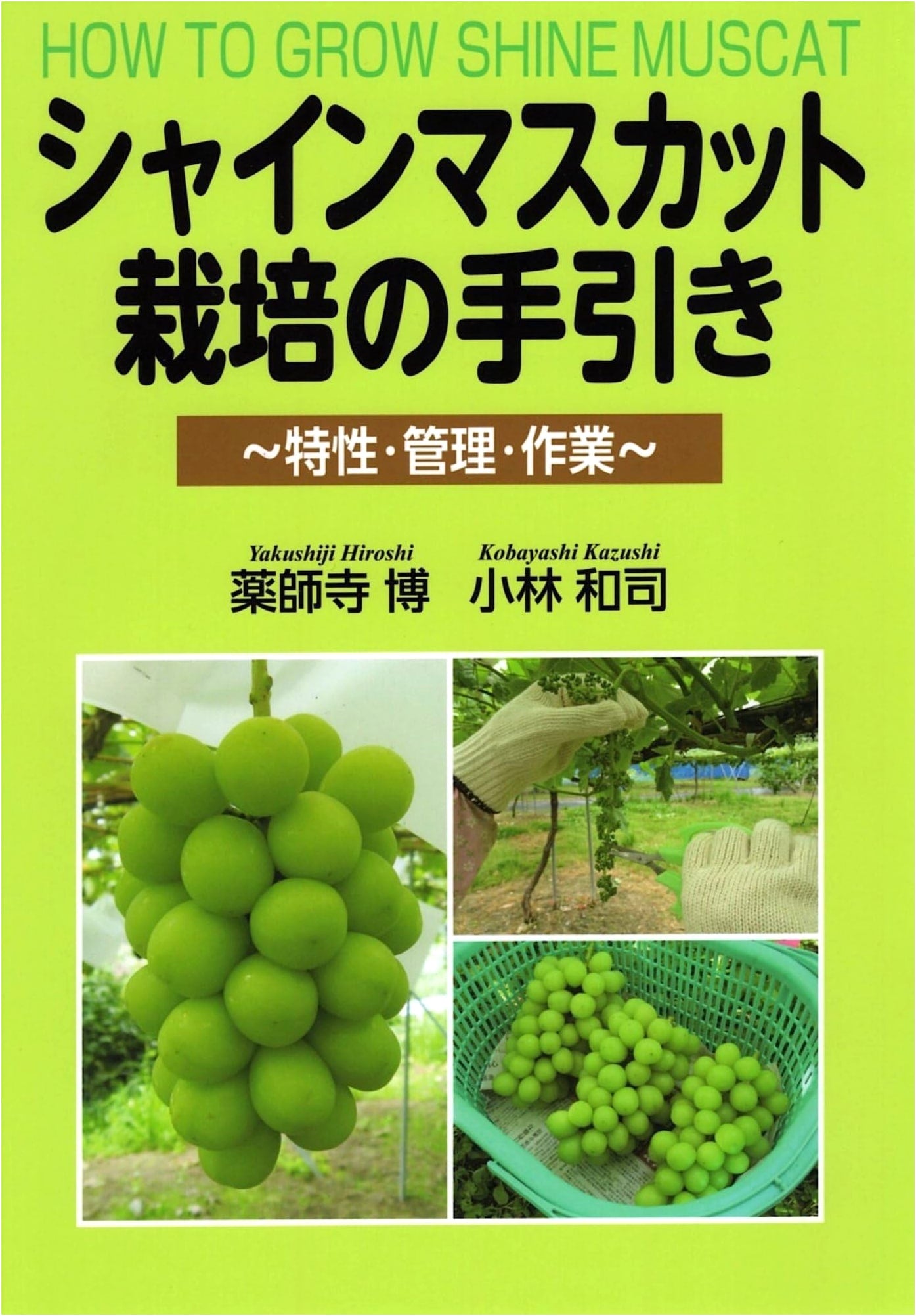 Shine Muscat Cultivation Handbook: Characteristics, Management, and Practical Operations