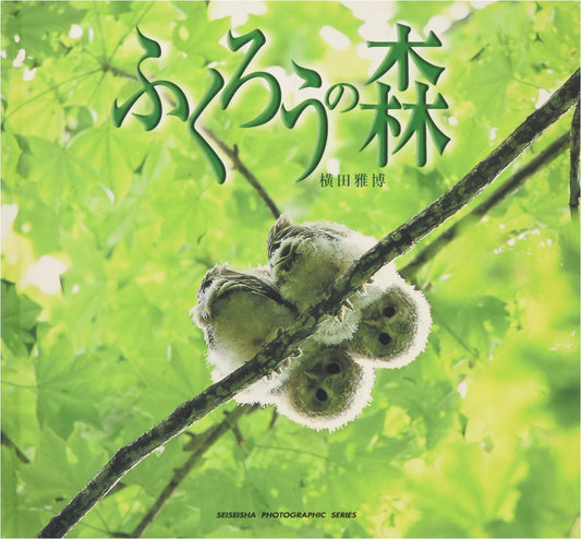 Owl Forest: Photographs by Masahiro Yokota