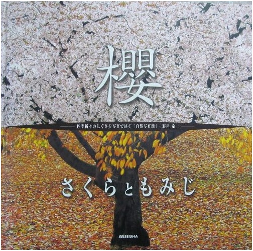 Sakura and Momiji: Cherry Blossoms and Autumn Leaves by Kiichi Noro