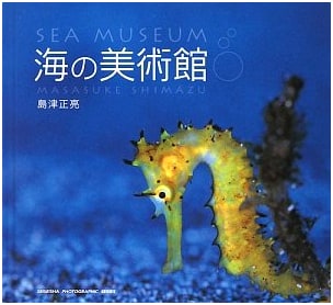 Museum of the Sea (SEISEISHA PHOTOGRAPHIC SERIES)