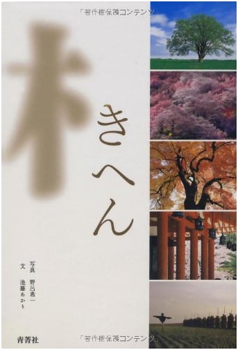 Kihen: Wood Grain by Akari Iketo