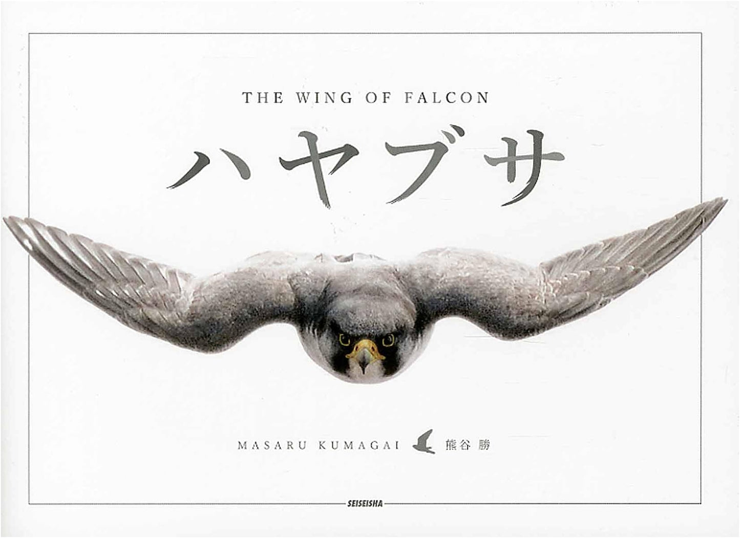 Hayabusa: The Wing of Falcon