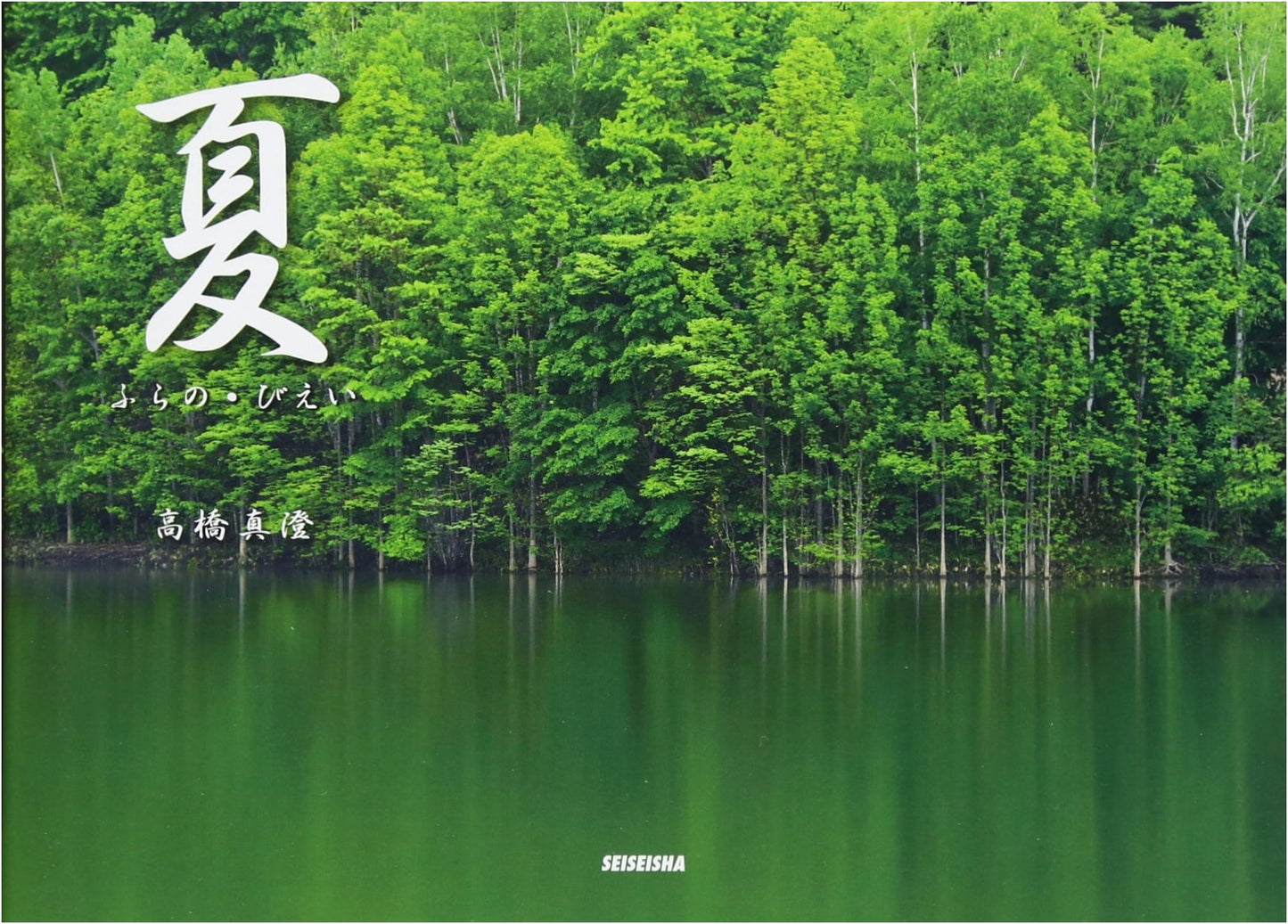 Summer in Furano & Biei: Photographs by Masumi Takahashi