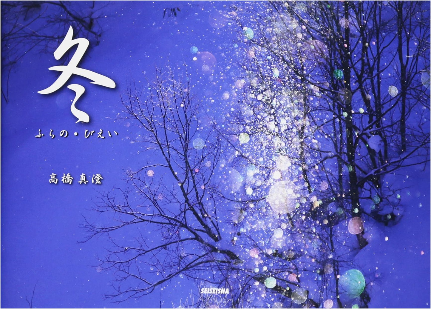 Winter Furano & Biei: Photographs by Masumi Takahashi