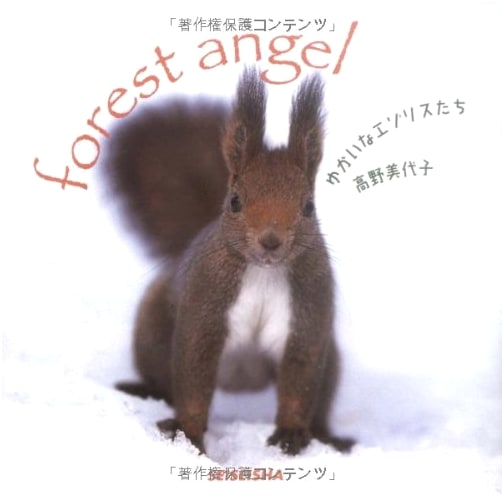 Playful Hokkaido Squirrels by Miyoko Takano (Seiseisha Mini Book)