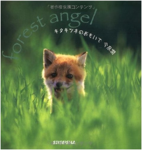 Memories of a Kita Fox by Jun Imaizumi (Seiseisha mini book)