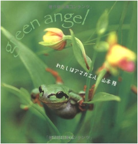 I am a Tree Frog by Takashi Yamamoto: A Seiseisha Mini Book