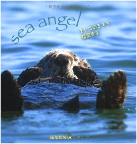 The Heart of the Sea Otter by Yukihiro Fukuda
