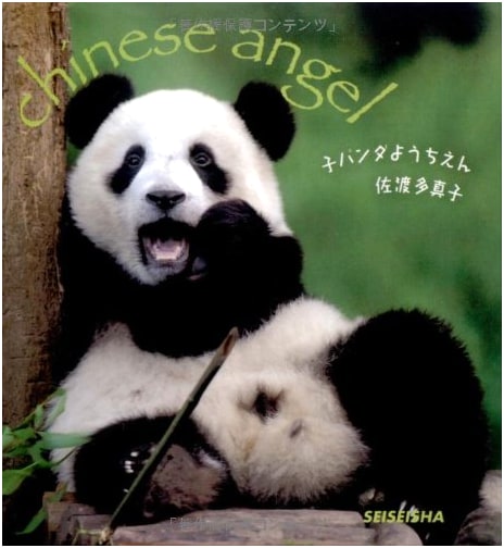 Little Panda Kindergarten by Tamako Sado (Seiseisha Mini Book)