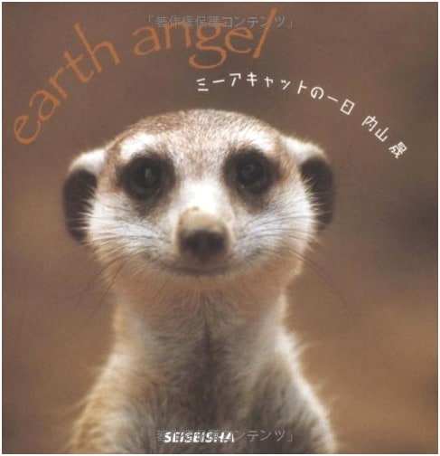 A Meerkat's Day by Akira Uchiyama (Seiseisha mini book)