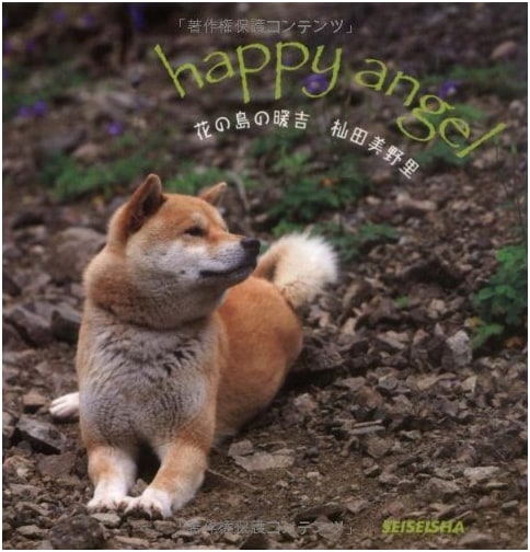 Warm Kichi of Flower Island by Minori Somada (Seiseisha Mini Book)