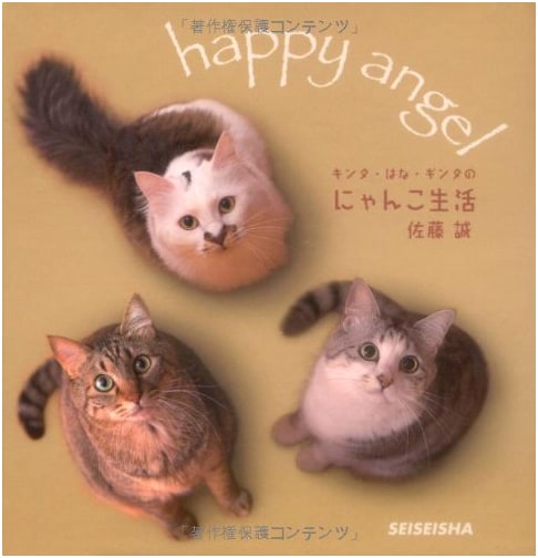 Kinta, Hana, and Ginta's Feline Life by Makoto Sato (Seiseisha mini book)