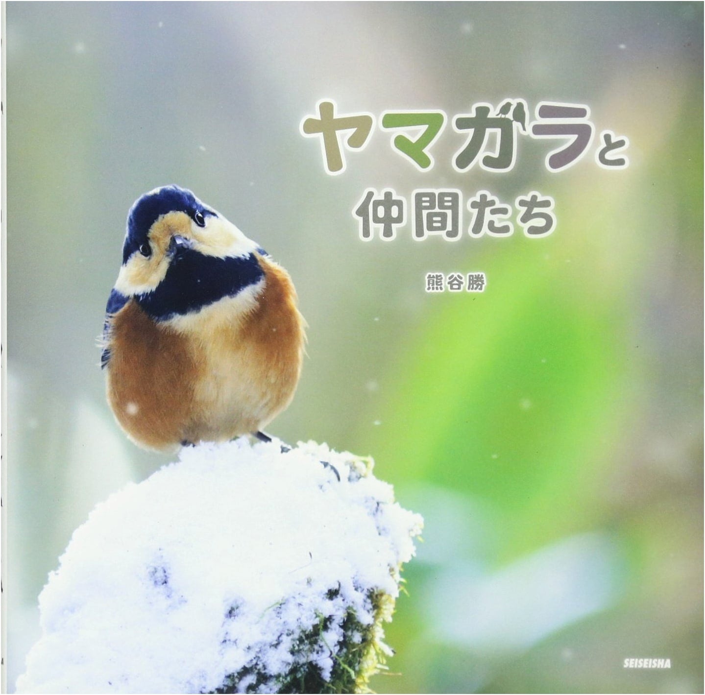 Varied Tit and Friends by Masaru Kumagai