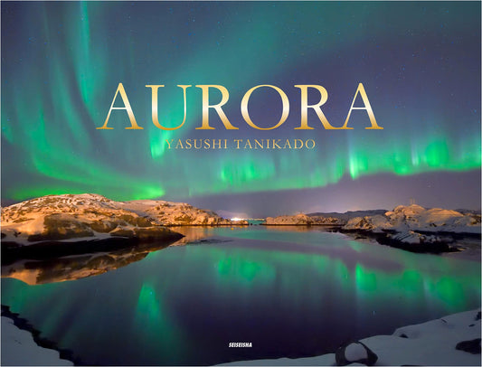 AURORA by Yasushi Tanizumi