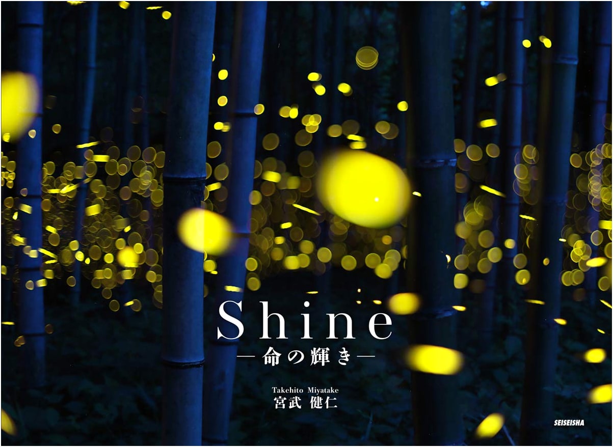 Shine: The Radiance of Life by Takehito Miyatake