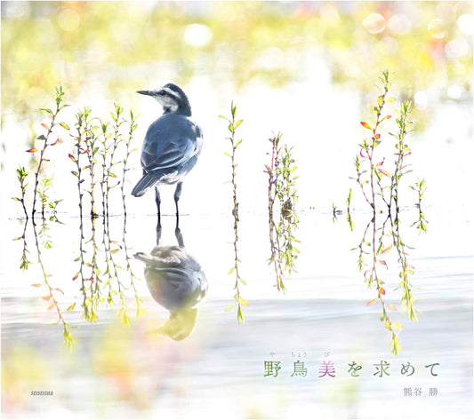In Pursuit of Beautiful Wild Birds by Masaru Kumagai