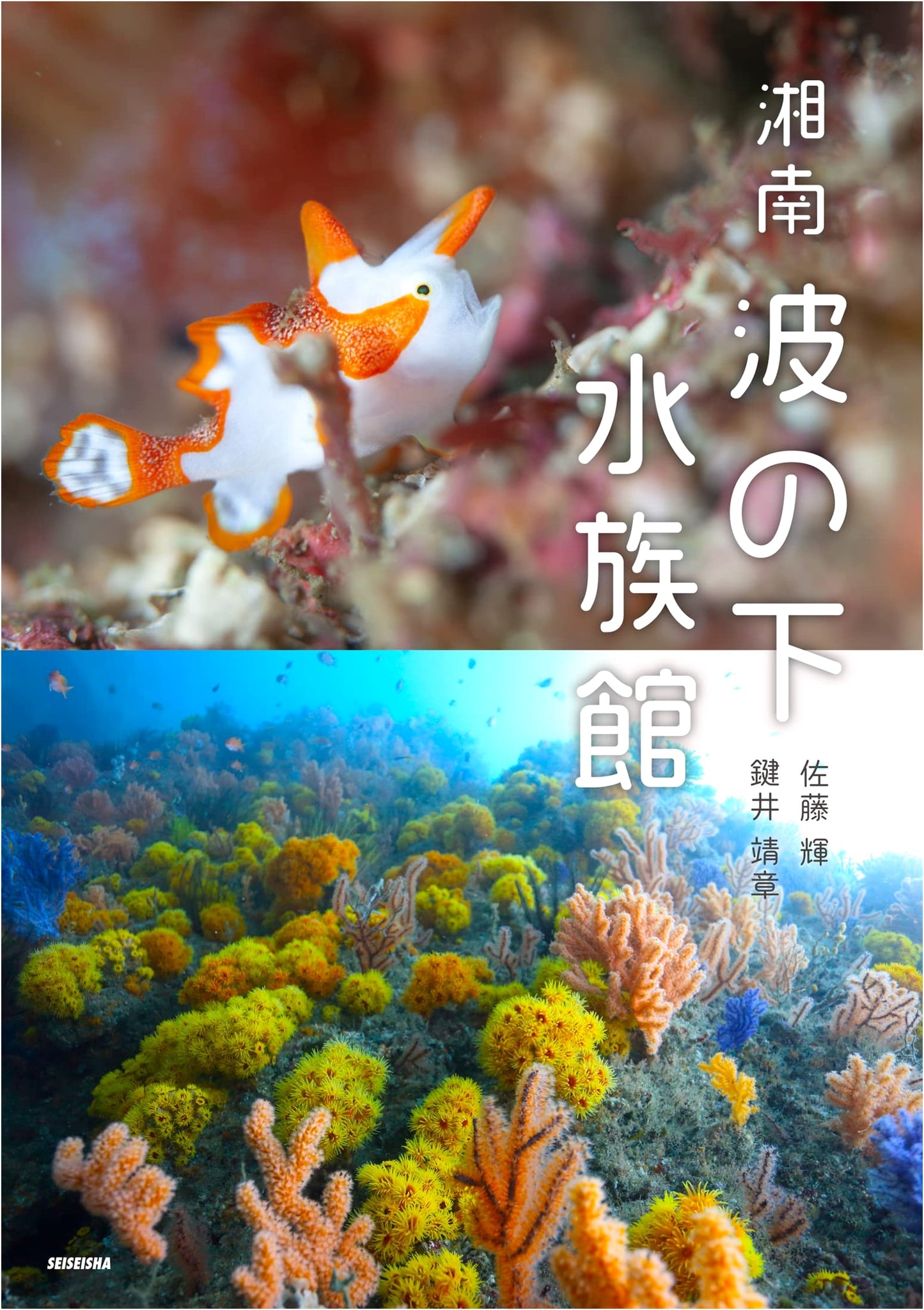 Shonan Aquarium: Wonders Beneath the Waves by Yasaki Kagii