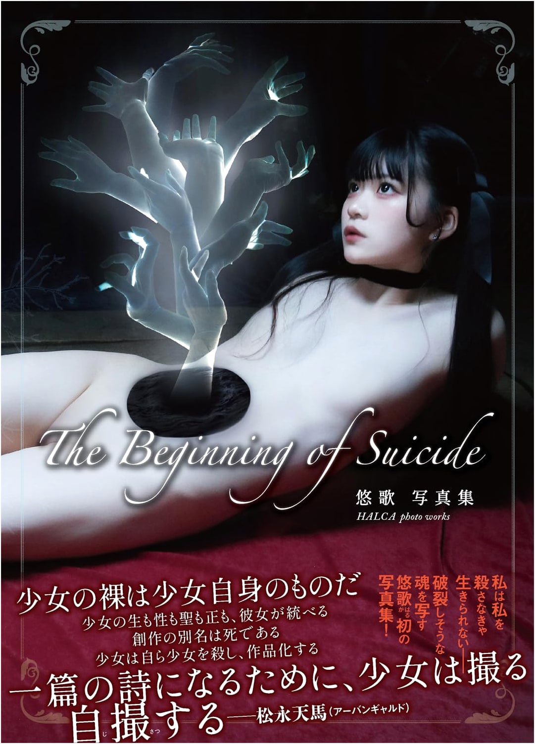 The Beginning of Suicide (TH ART SERIES)