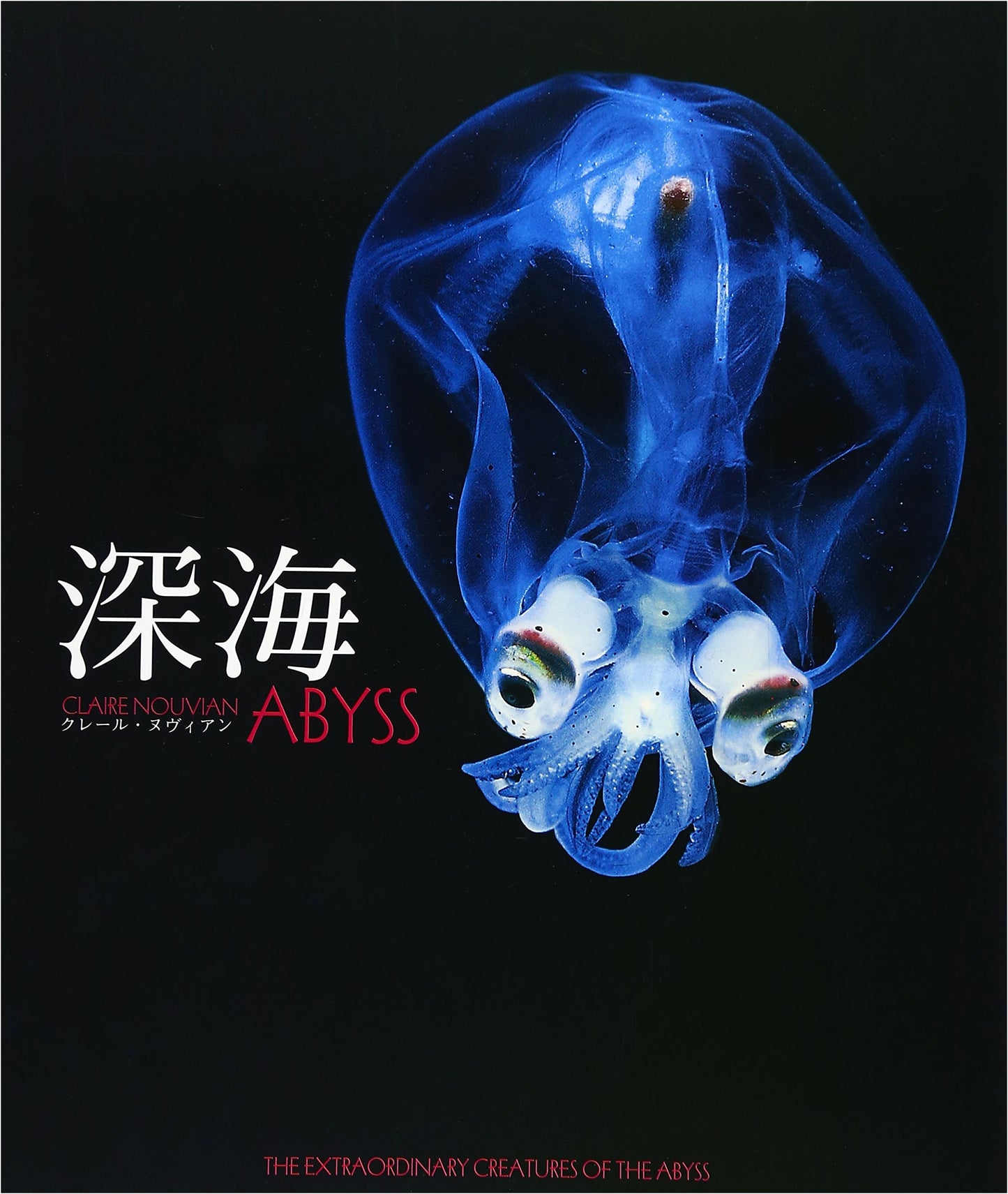 The Deep Sea: A Strange and Colorful World by Claire Nouvian