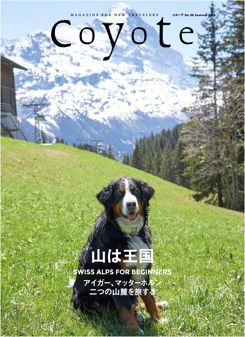 Coyote No. 68: The Mountains Are a Kingdom – Swiss Alps for Beginners