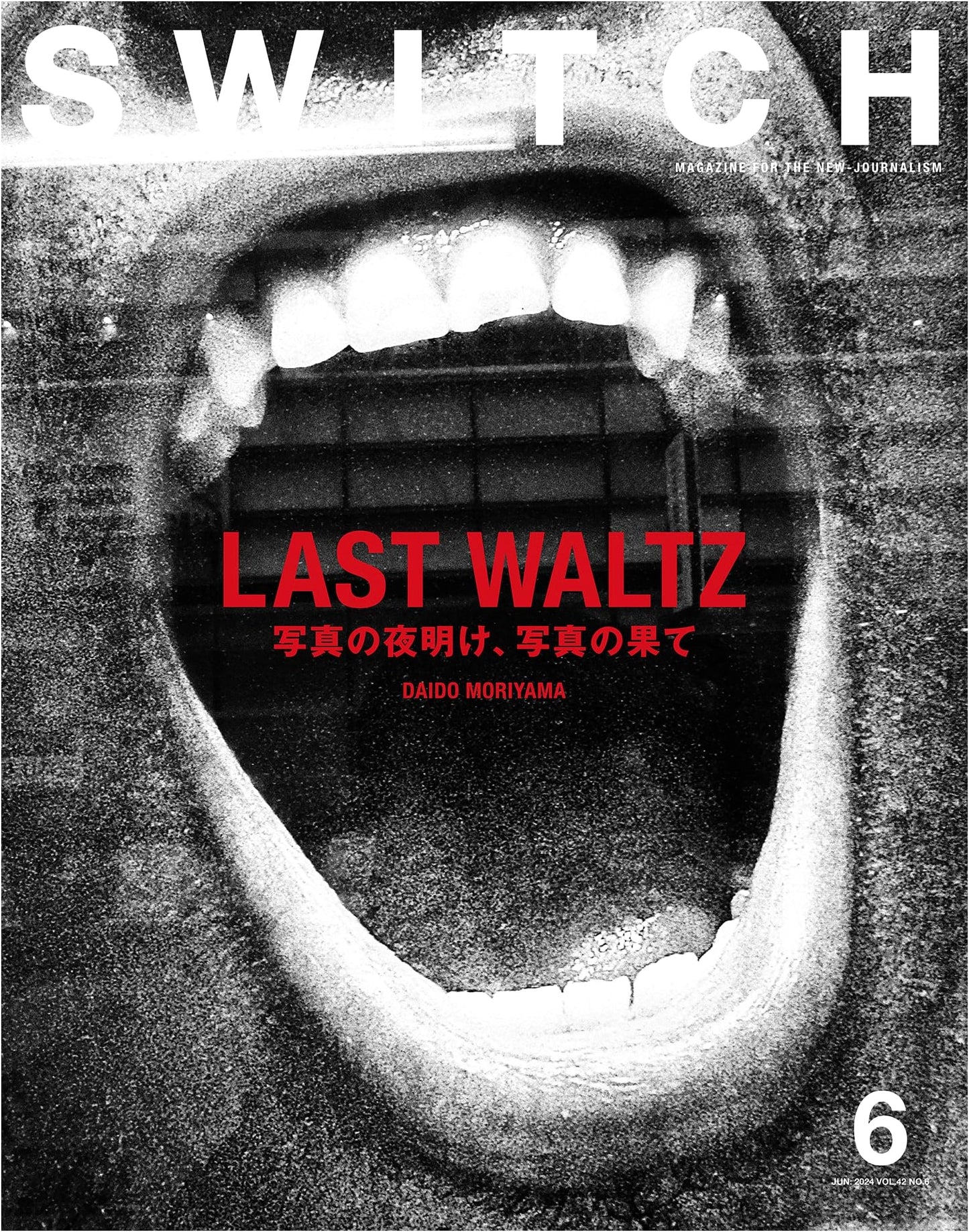 SWITCH Vol.42 No.6: Special Feature LAST WALTZ - The Dawn & End of Photography