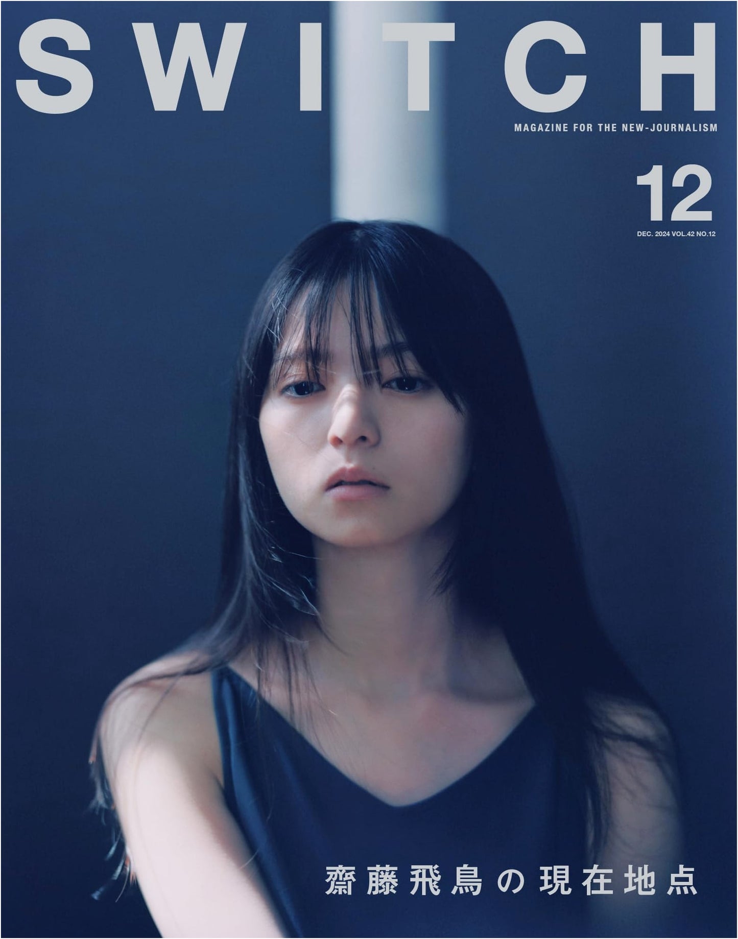SWITCH Vol.42 No.12: Special Feature - Asuka Saito