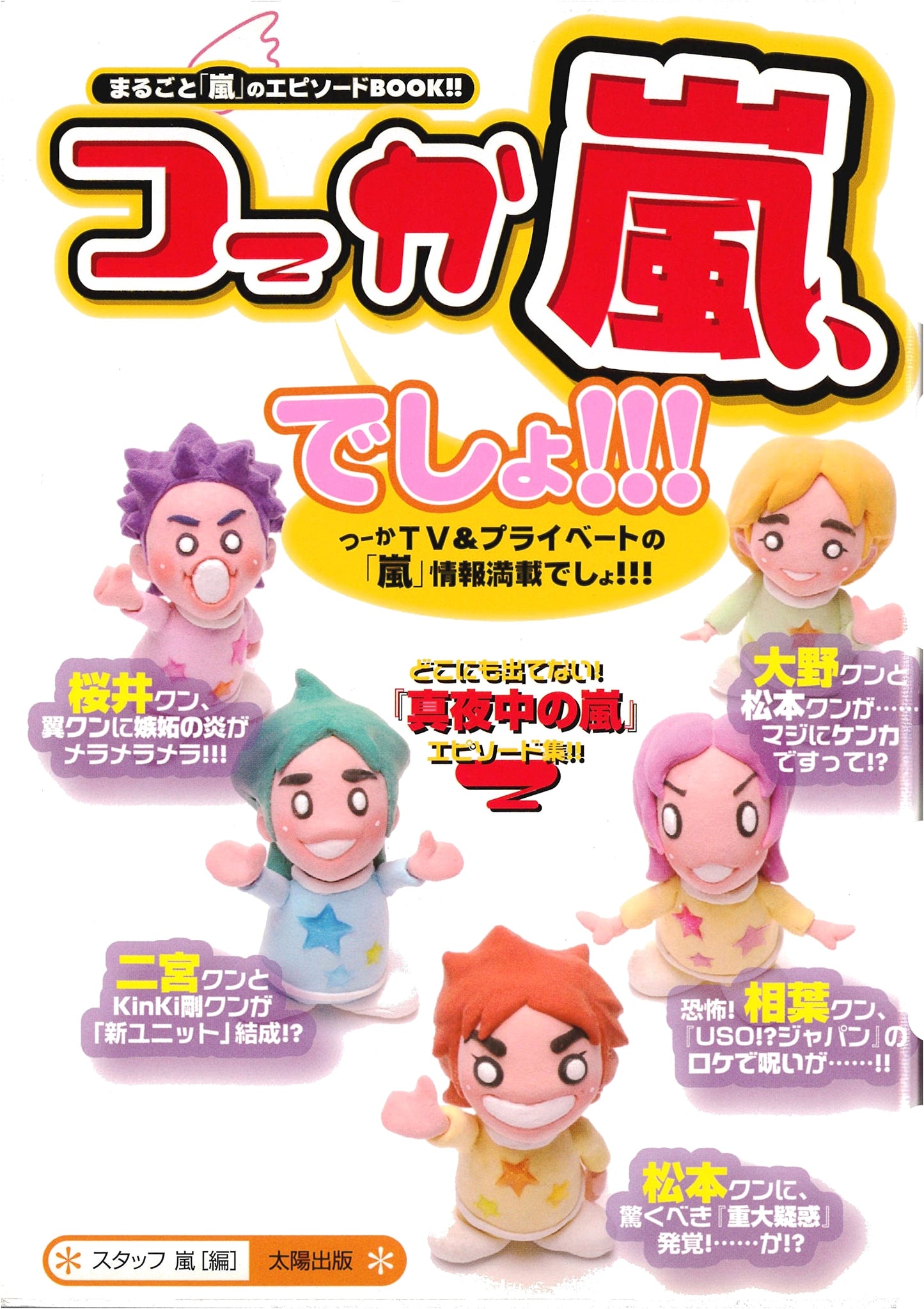 Tsuuka Arashi, Desho?: All About Arashi TV & Private Episode Book