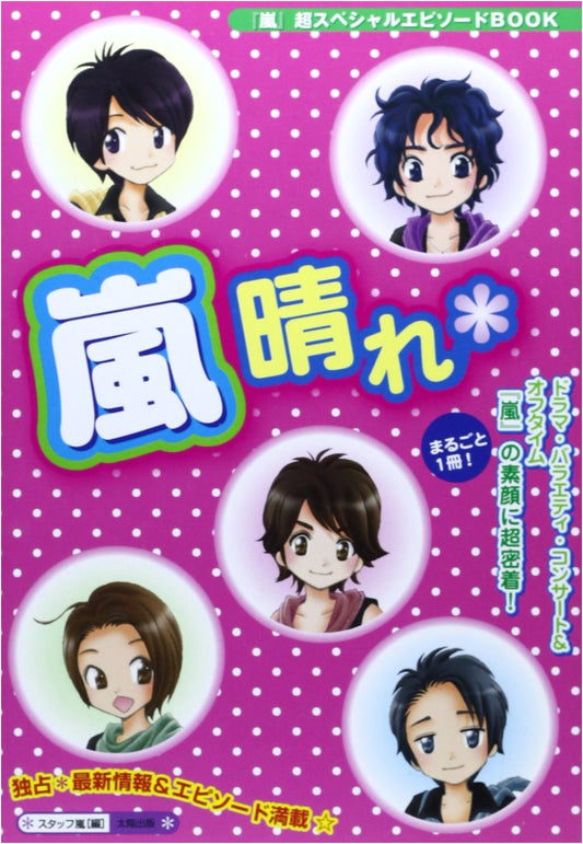 After the Storm: A Super Special Episode Book on Arashi