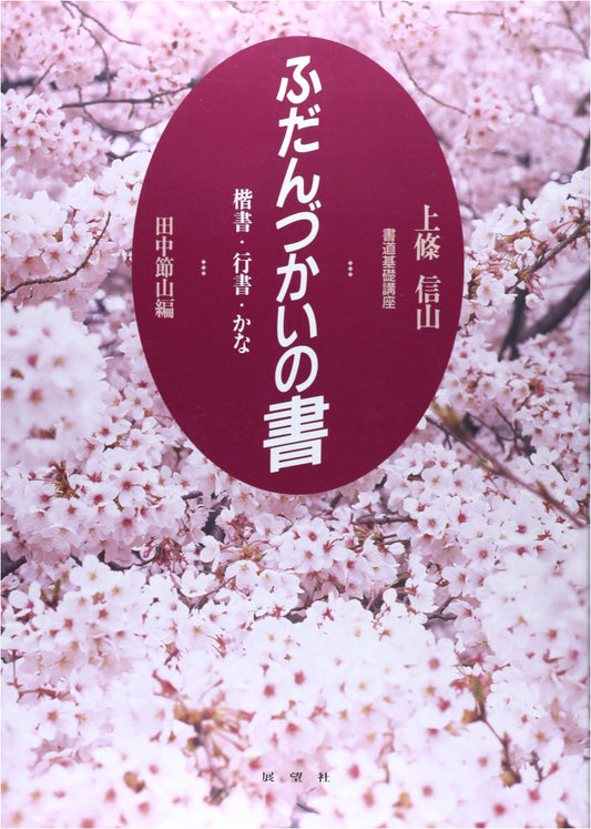 Everyday Calligraphy: Shinzan Kamijo's Basic Calligraphy Course