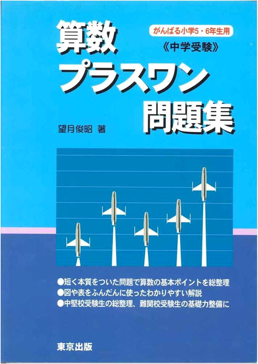 Arithmetic Plus One Problem Collection: Junior High School Entrance Exam by Mochizuki