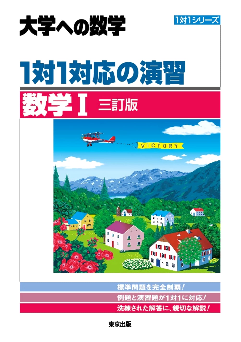 1-to-1 Correspondence Exercises: Mathematics 1 (University Mathematics Series)