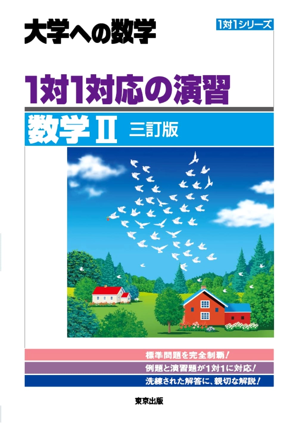 1-to-1 Correspondence Exercises: Mathematics 2 (University Mathematics)