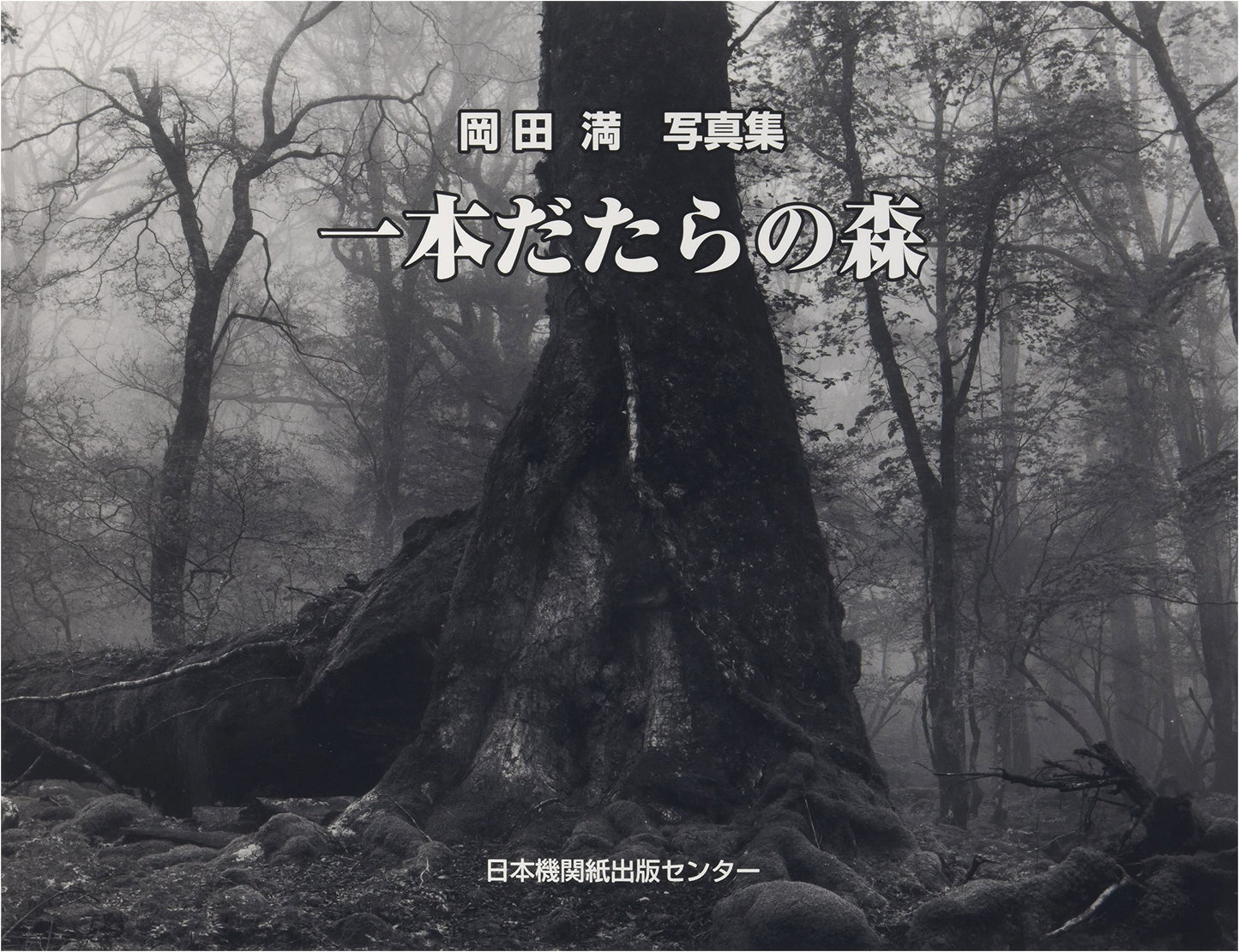 Ippondatara Forest: Photographs by Mitsuru Okada