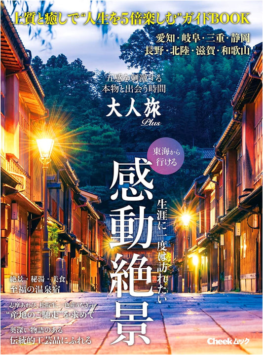 Adult Travel Plus (Cheek Mook)