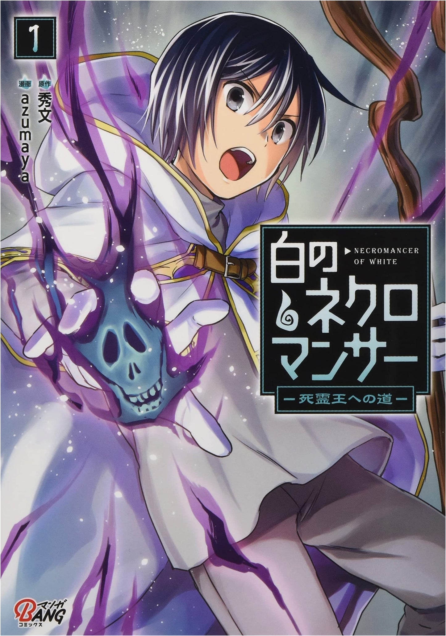 Shiro no Necromancer: Path to the King of the Undead, Vol. 1 (Manga BANG Comics)