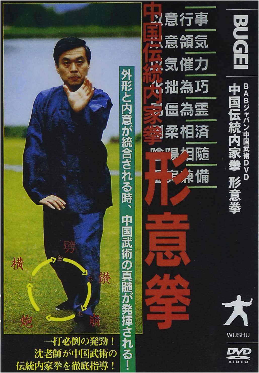 Chinese Traditional Internal Martial Arts: Xing Yi Quan [DVD]