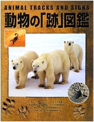 Illustrated Guide to Animal Tracks and Traces