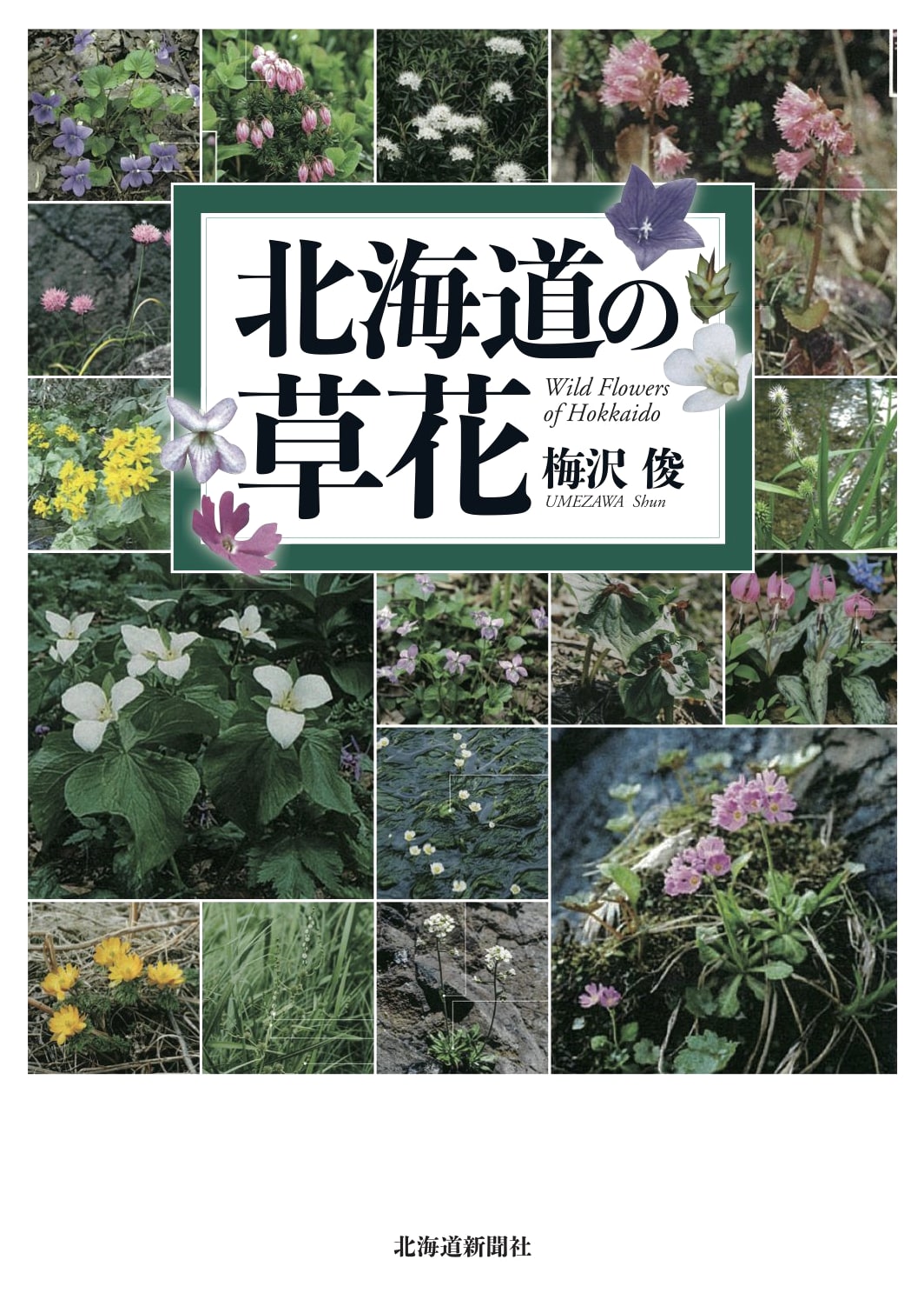 Wildflowers of Hokkaido: A Botanical Guide to Japan's Northern Island