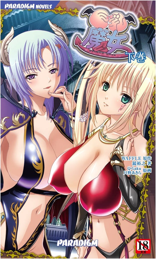 Busty Witch, Vol. 2 (Hiroyuki Kagami) Paradigm Novels