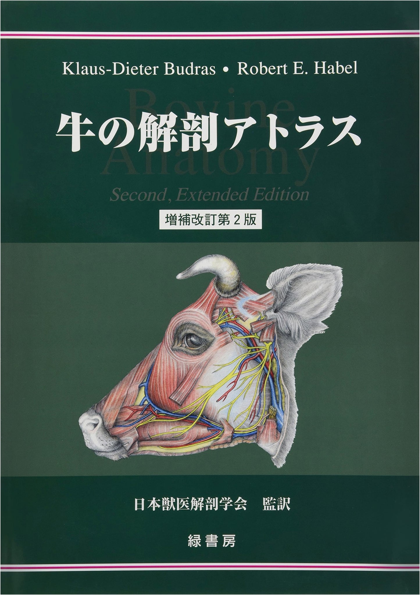 Bovine Anatomy Atlas
